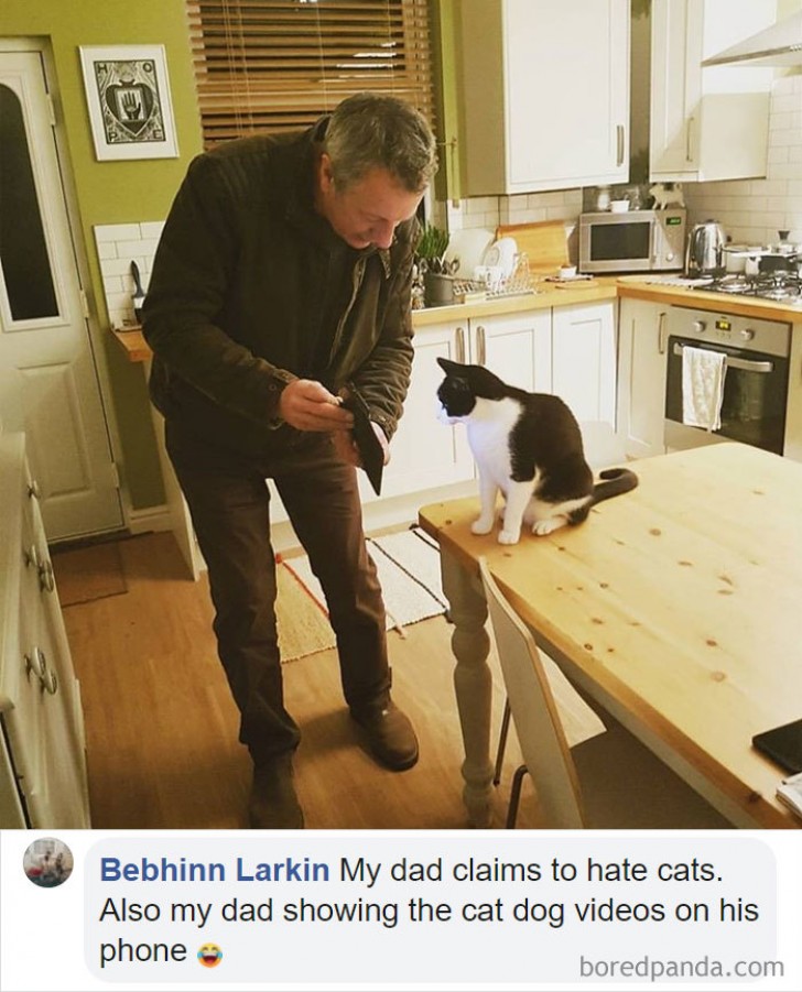 4. "My father who claims he " 'hates cats' " and who now shows videos of dogs to our cat!"