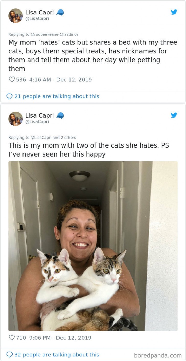 7. "This is my mom with two of the cats she "hates". PS I have never seen her so happy."