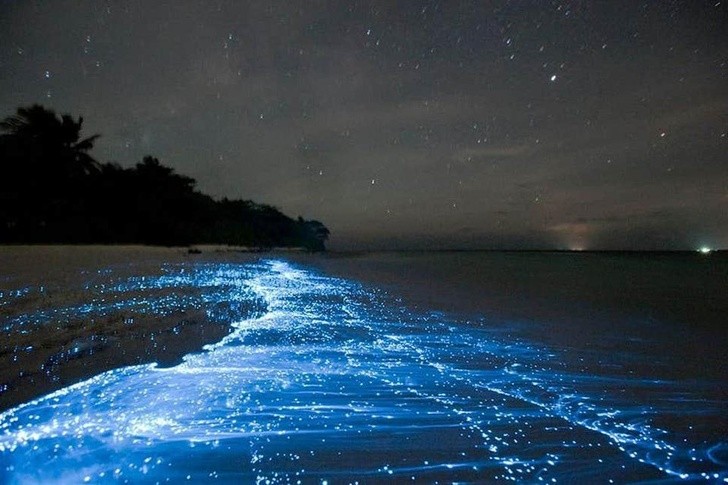 Il bagliore del plancton al di sotto della superficie marina in questa spiaggia incantata nelle Maldive.
