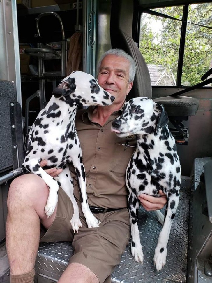 Cinco et Ivy, deux des plus beaux chiens que les coursiers aient jamais rencontrés !