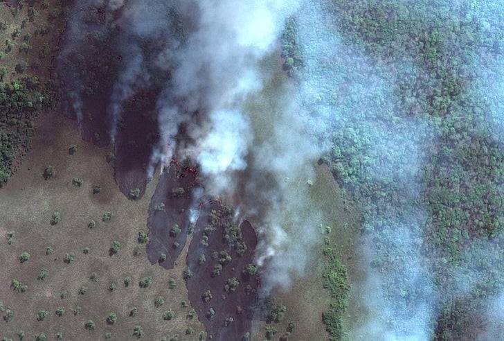 3. Les incendies en Amazonie