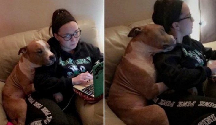 12. Un perro adoptado que muestra su agradecimiento y su afecto a su amiga humana