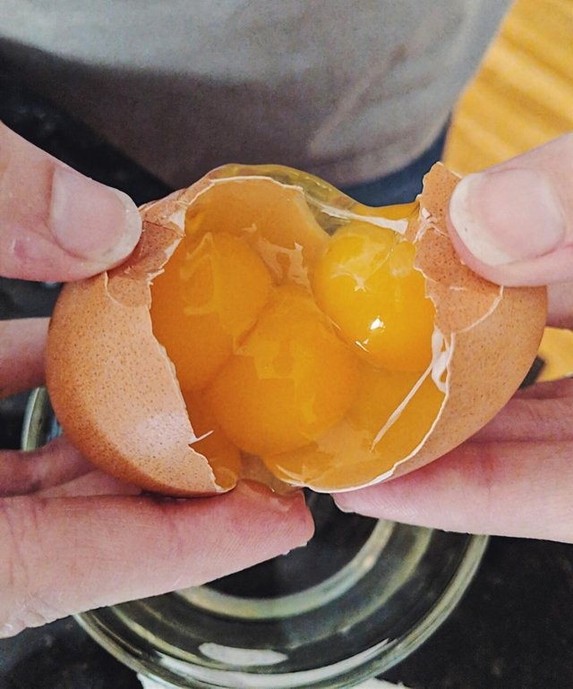 Un œuf avec trois jaunes à l'intérieur : une riche omelette en perspective !
