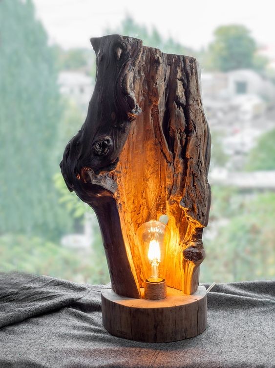 1. Una lampadina in un tronco