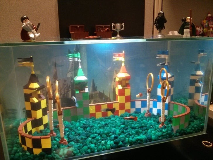 5. On dirait que quelqu'un a transformé l'aquarium du bureau en un terrain de Quidditch.