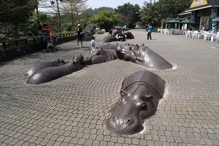 14. Hippopotames (Taïwan)