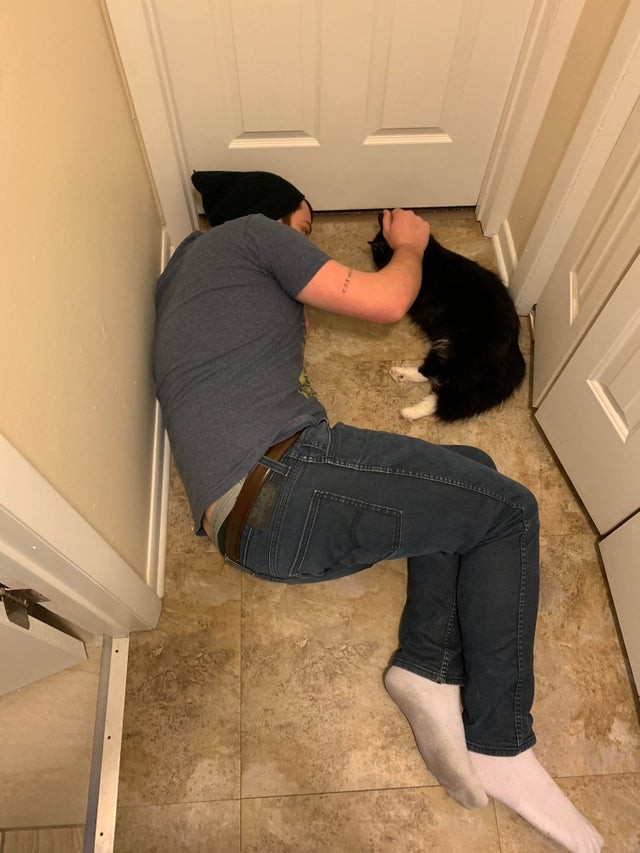 "Voici mon mari, qui détestait les chats quand je l'ai rencontré, réconfortant notre chat après une opération."