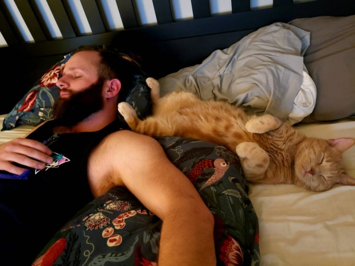 Cette fille, sans se faire remarquer, a réussi à immortaliser la sieste de son petit ami avec le chat qu'il prétend toujours "ne pas aimer"...