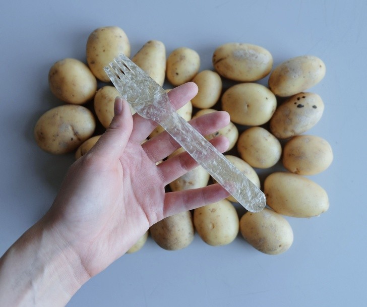 Uno studente ha inventato un materiale simile alla plastica che si ricava dall'amido delle patate e dall'acqua: si biodegrada in 2 mesi.