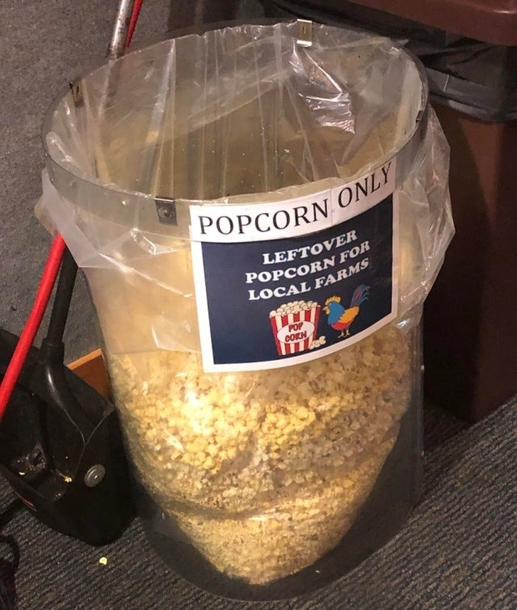 Questo cinema raccoglie i popcorn avanzati e li destina alle fattorie locali.