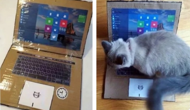 5. Quante volte mentre stavate lavorando il gatto si è seduto sulla tastiera? Questa persona ha creato un computer finto per il suo gatto: così non la interrompe più mentre sta lavorando!