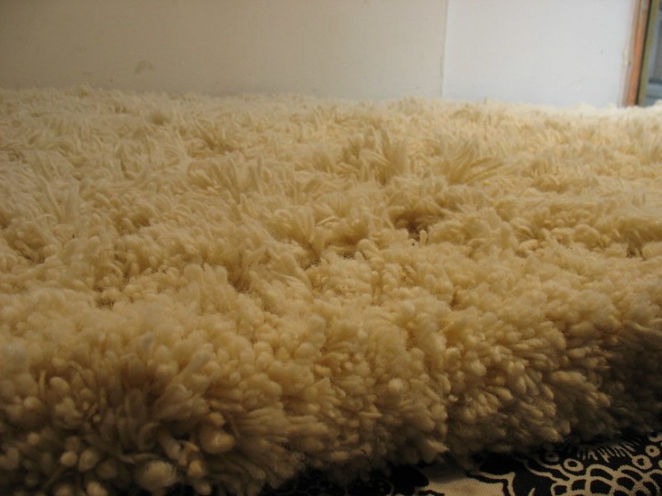 2. Non usare tappeti spessi o a pelo lungo