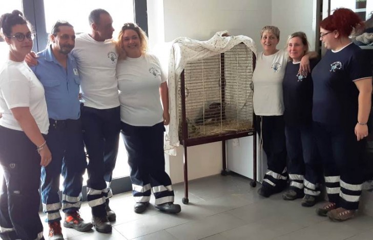 L'ex-mattatoio di Firenze è stato trasformato in una struttura di accoglienza per animali in difficoltà - 1