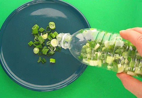 4. Cipolla fresca: tagliatela a pezzetti e conservateli in frigo dentro a una bottiglia di plastica chiusa. Sarà facilissimo prenderne un po' per volta quando ci serve