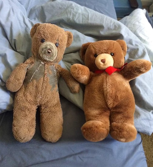4. Due orsacchiotti identici: uno è rimasto in soffitta, l'altro è stato abbracciato per anni ed appare visibilmente cambiato