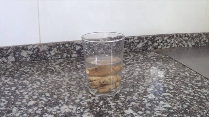 1.Riempite un bicchiere di acqua e immergeteci le radici per 4 ore