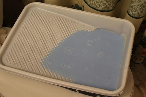 4. Potete anche versare la mistura di acqua e anmorbidente in una vaschetta e distribuirla sulla parete con un rullo