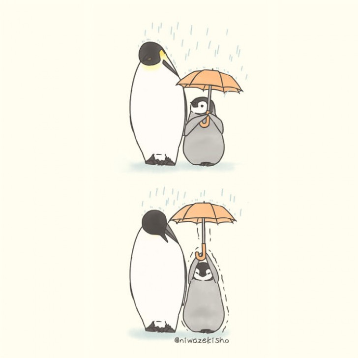L'altruisme, même les jours de pluie, est toujours l'instinct le plus fort ! Il suffit de partager un parapluie...