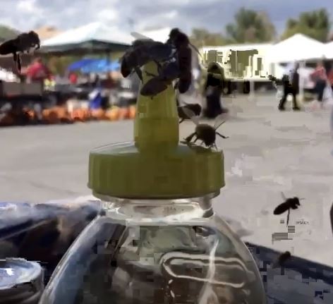Buzzta TV/YouTube