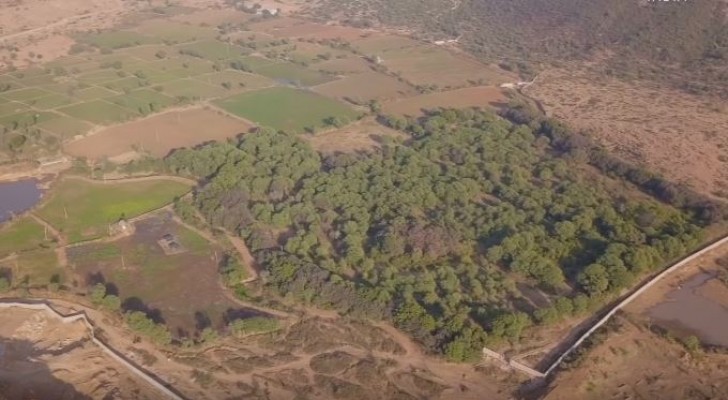 Mongabay India/YouTube