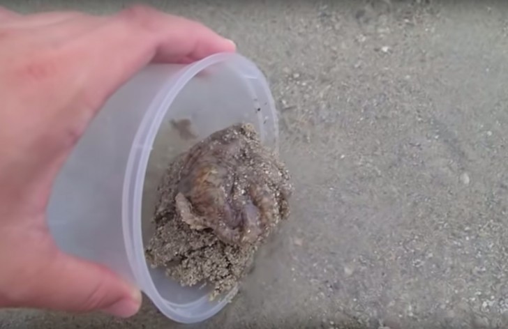 Pei Yan Heng/YouTube