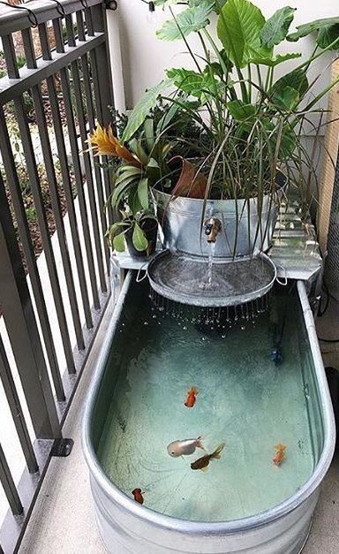 8. Create un giardino acquatico in una vasca di zinco, di quelle usate come abbeveratoi per animali: è resistente e di grande effetto
