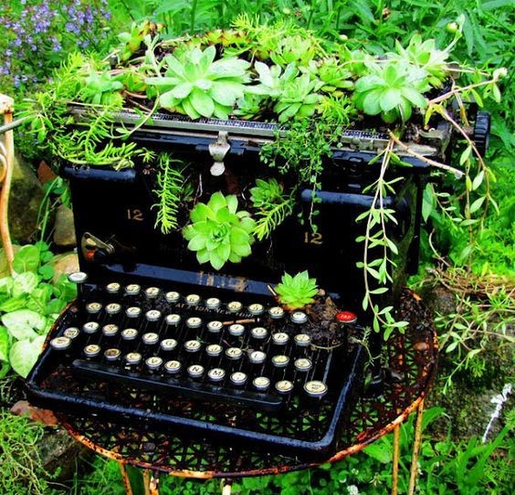 5. Per una macchina da scrivere l'ideale sono piante succulente