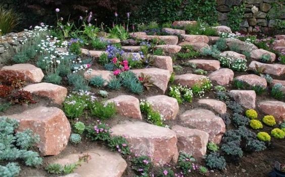 3. Een terras met roze stenen: de planten zijn van verschillende hoogtes, tussen vaste planten, seizoensgebonden planten en vetplanten