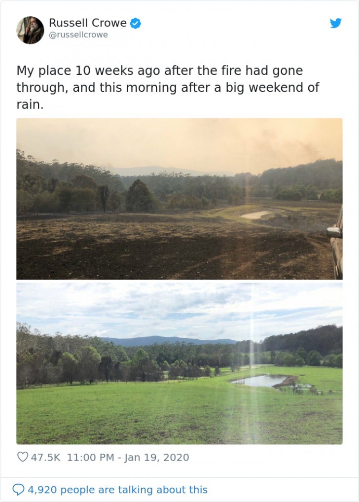 L'attore Russell Crowe mostre le immagini dell'Australia pochi giorni dopo gli incendi e dopo una settimana di pioggia...La Terre risorge!
