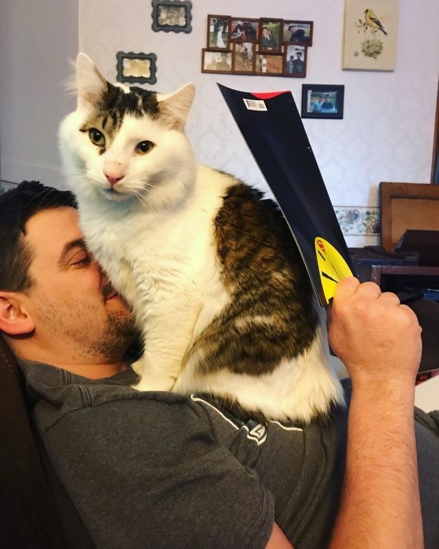 Es inútil tomarse un poco de tiempo de descanso, ¡también el gato quiere su...atención!