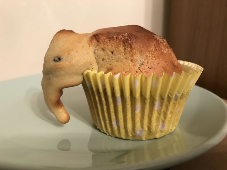 13. Wenn der Muffin einfach nicht an seinem Platz sein will und sich entscheidet, hinauszugehen und sich in einen süßen kleinen... Elefanten zu verwandeln!