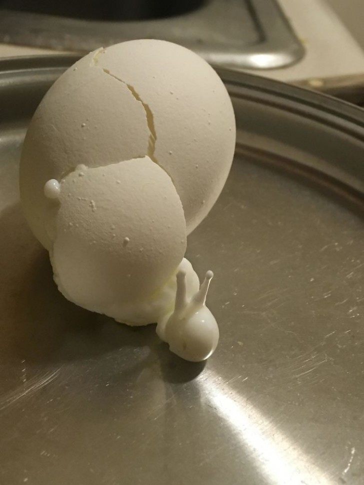 14. Un uovo sodo la cui cottura non è andata proprio per il verso giusto: ora sembra una bianchissima lumaca!