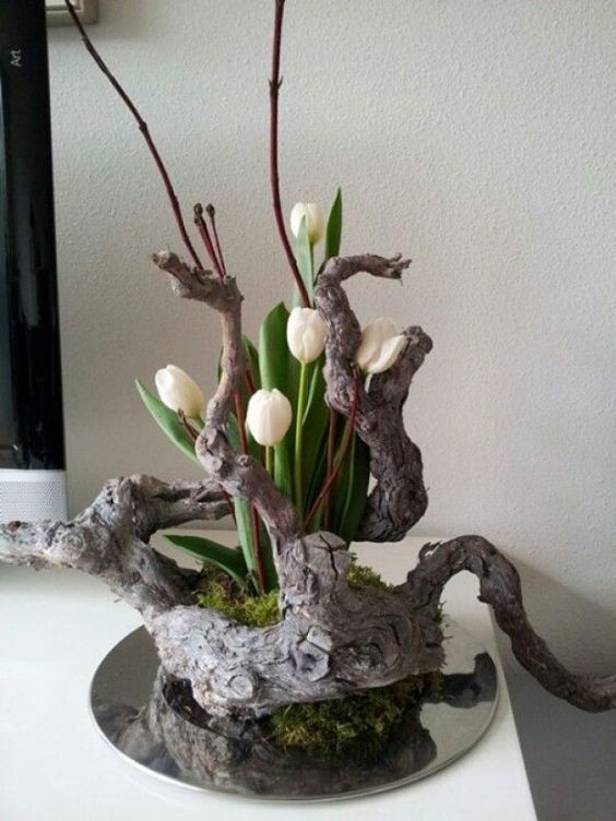 1. Un tronco contorto ospita dei bellissimi tulipani bianchi