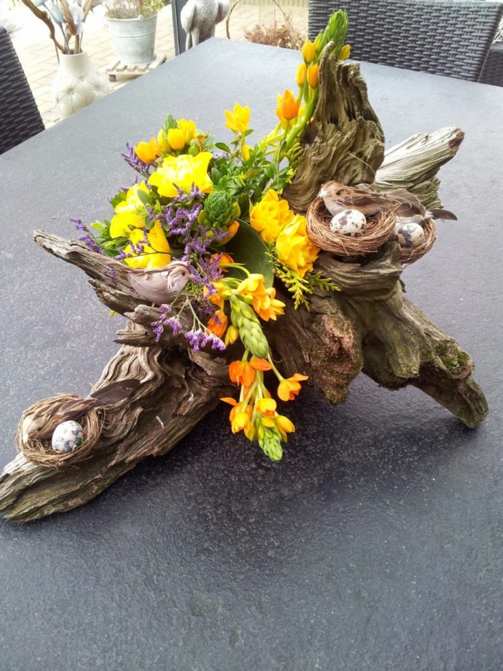 3. Nidi e fiori appoggiati sul tronco