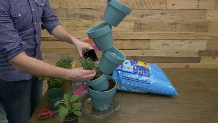 6. Riempite ciascun vaso con terra e piante
