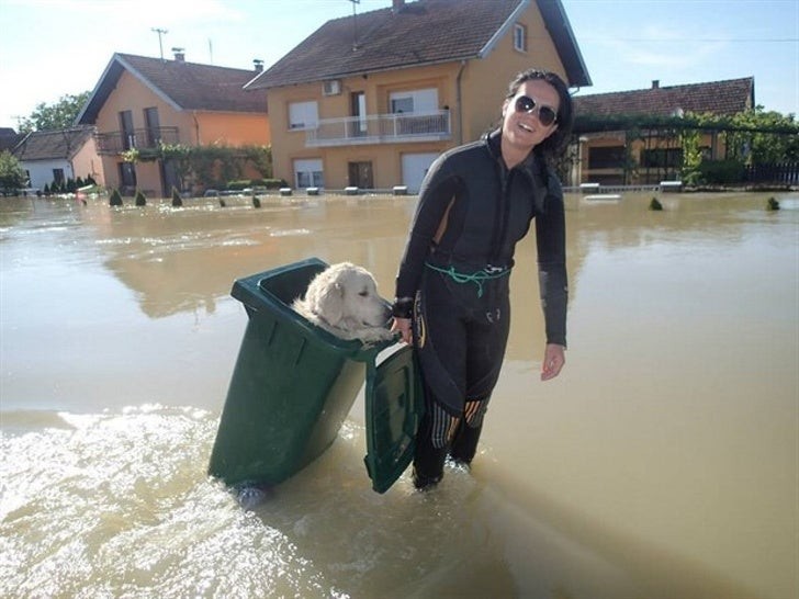 1. Llevar a salvo un perrito en dificultades durante una inundación: si esto no es gentileza...