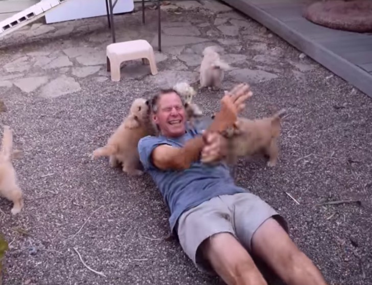 In the video, the man can't stop laughing while the puppies can't stop covering him with "kisses and cuddles" .... it's impossible not to smile in front of such a display!