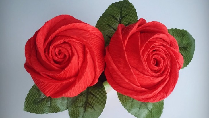 3. Magnifiche rose rosse in carta crespa
