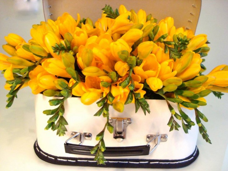1. Un beauty case o una piccola valigia vintage possono ospitare qualsiasi fiore