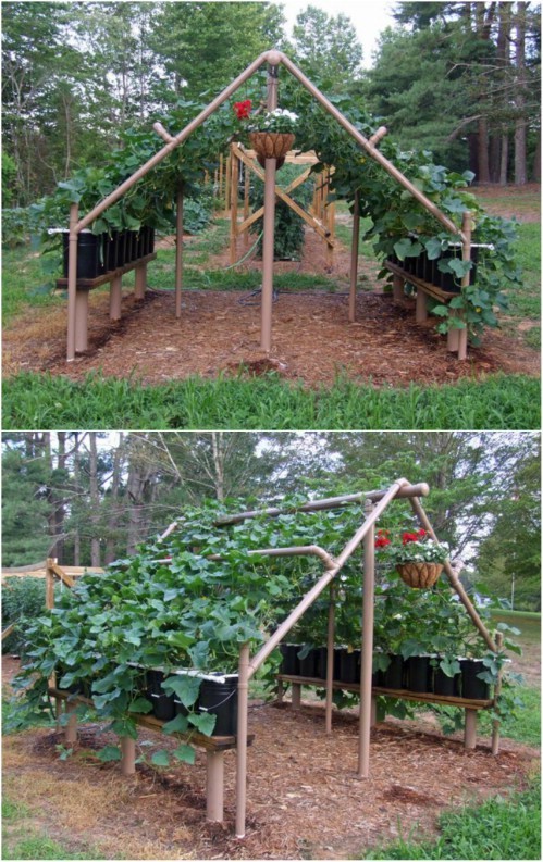 9. Costruite una capanna a sostegno delle piante rampicanti con tubi di PVC