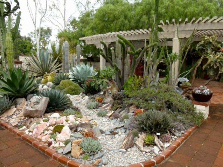 8. Se non volete creare un intero giardino di cactus e piante grasse, va benissimo anche una ricca aiuola
