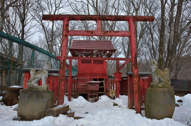 Deze beschermde oase ligt in de Japanse provincie Miyagi