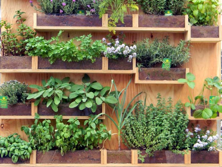 17. Create scomparti di vari dimensioni su una parete di legno, da destinare alle diverse varietà di piante che volete far crescere