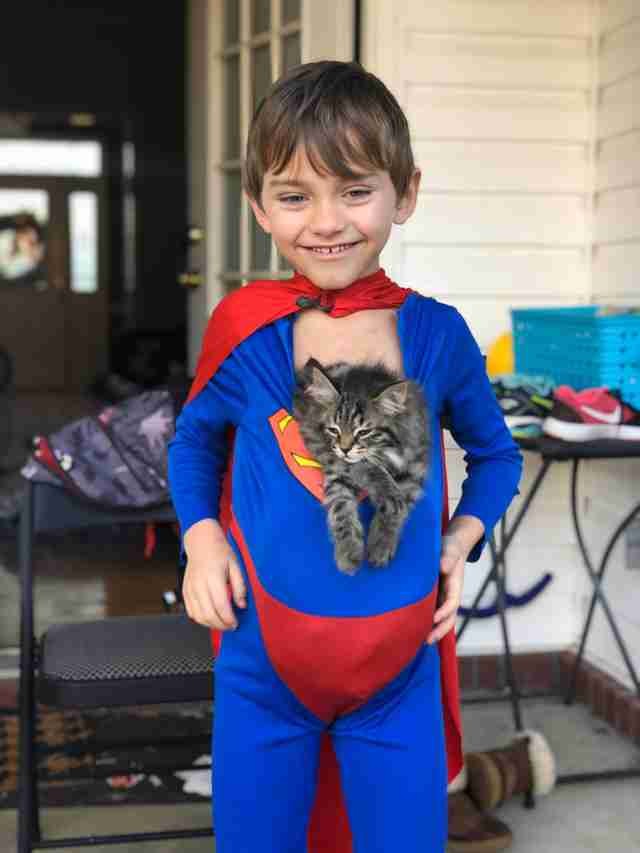 Noah et Meowser sont devenus si inséparables qu'ils font tout ensemble : le matin, le petit se réveille avec le ronronnement du chat...