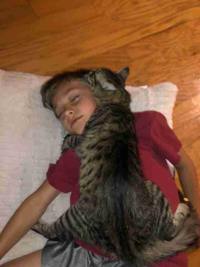 But one of the sweetest things they do is sleep together: Meowser snuggles on his master literally embracing him ...