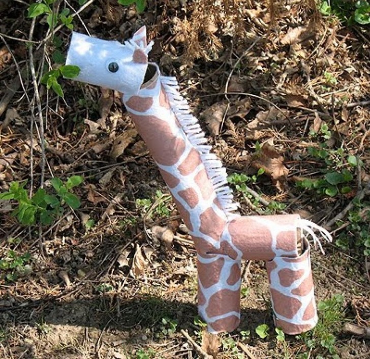 4. Una giraffa