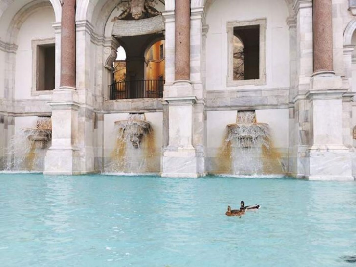 Roma è deserta e silenziosa: le anatre si godono un bagno nel maestoso fontanone del Gianicolo - 1