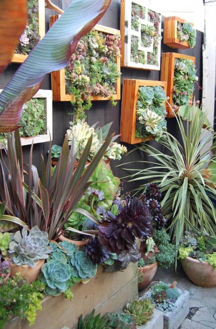 14. Che ne dite di questi quadri vegetali fatti con le piante succulente?