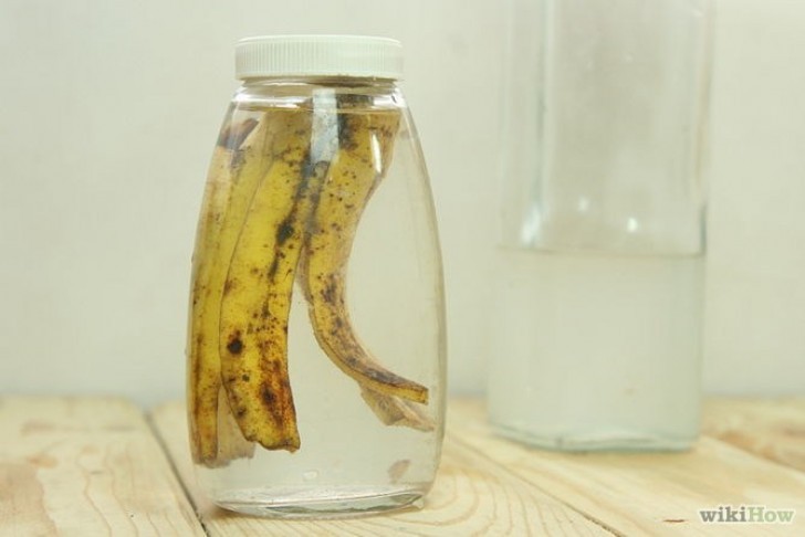 12. Con le bucce di banana, così come con tanti scarti di frutta, si può produrre aceto. È un procedimento lungo ma assolutamente naturale