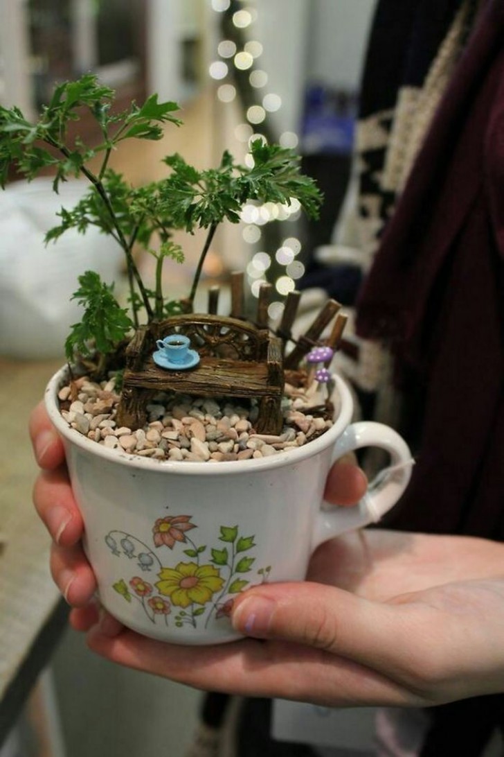 5. Un banc et une bonne tasse de thé au milieu du vert créé à l'intérieur d'une plus grande tasse !